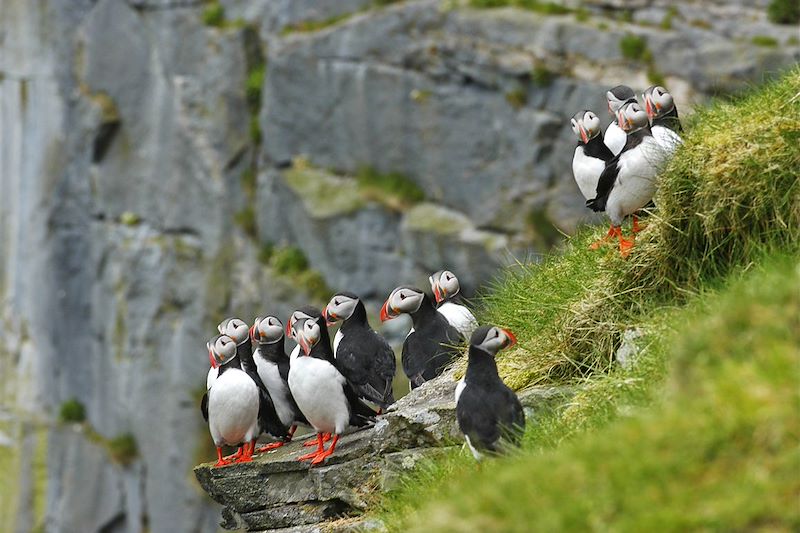 La petite maison des îles Lofoten