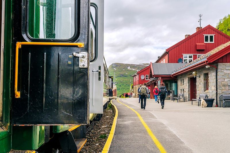 Flåmsbana à la gare de Myrdal - Norvège