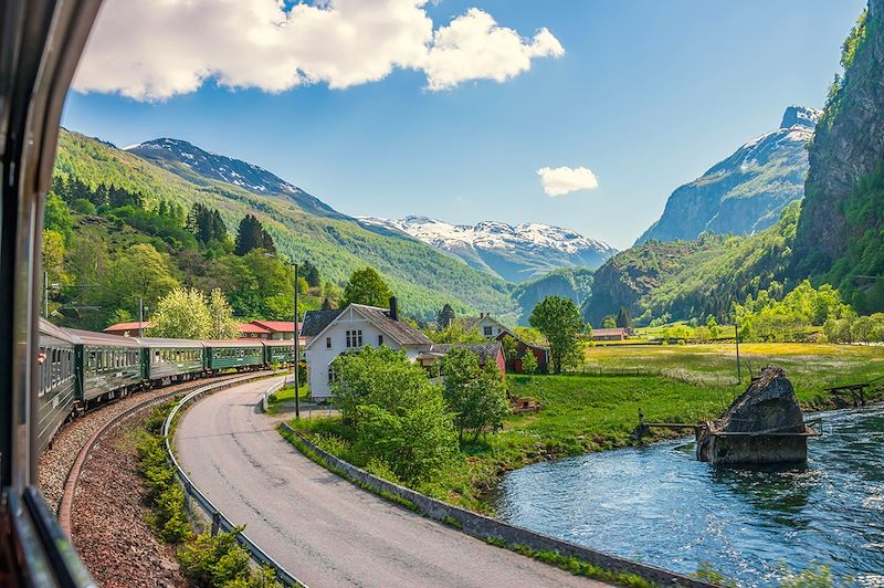 Flåmsbana de Flåm à Myrdal - Vestlandet - Norvège