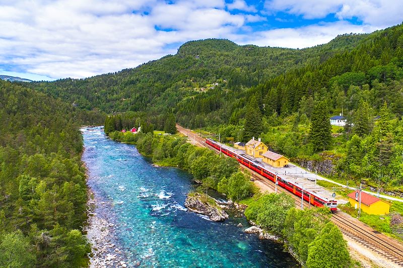Train sur le trajet Oslo-Bergen - Norvège
