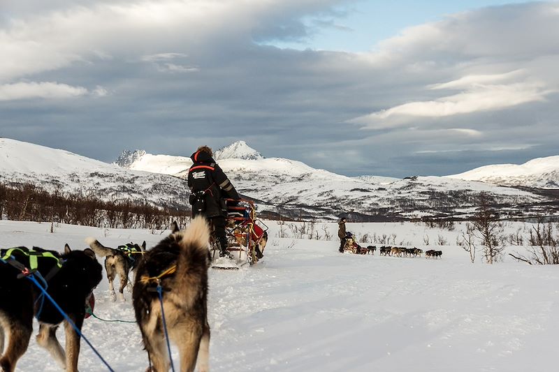 L'aventure boréale : la chasse aux lumières 