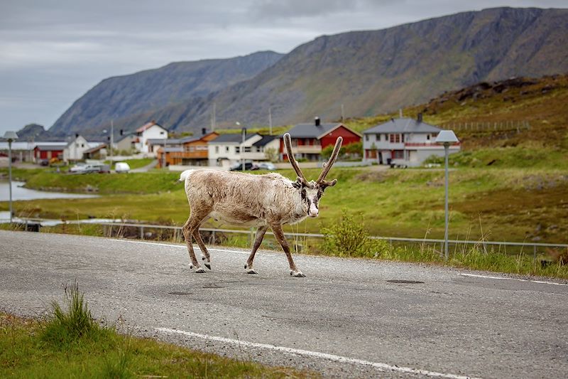 La Norvège du bout du monde