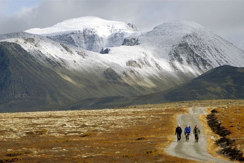 Parc national de Rondane - Norvège