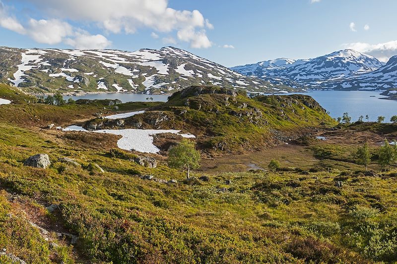 Aventure électrique en Norvège !