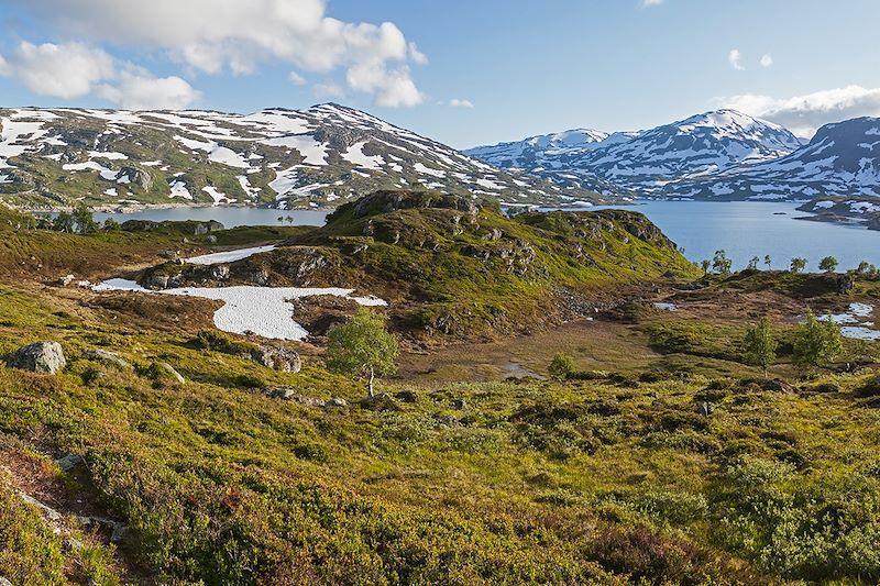 Parc national de Hardangervidda - Norvège