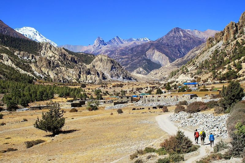 Trek de Ghyaru à Manang - Annapurna - Népal