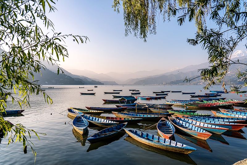 Lac Phewa - District de Kaski - Népal
