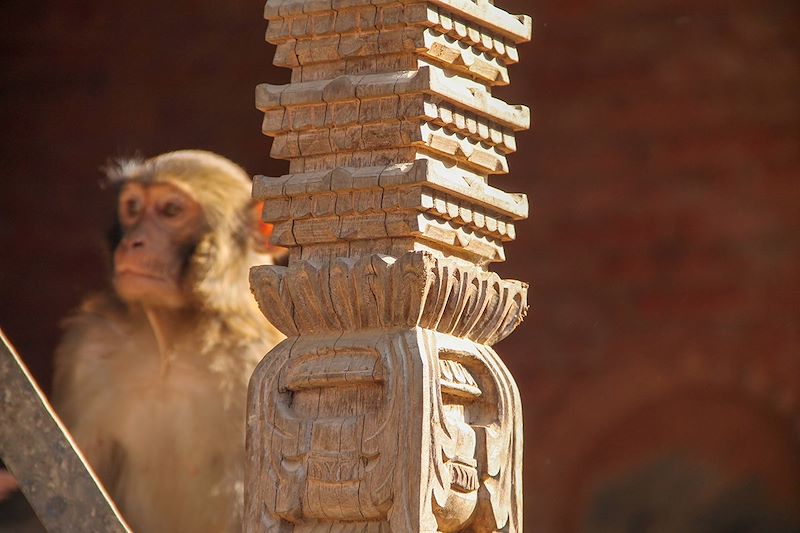 Temple de Swayambunath - Katmandou - Népal 