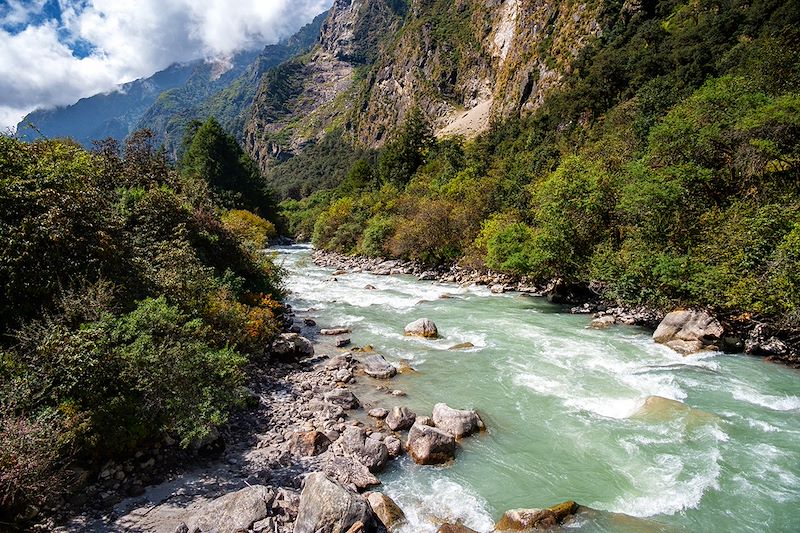 Rivière Langtang Khola - Vallée du Langtang - Népal