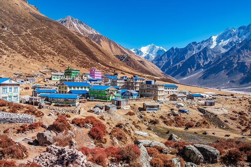 Kyanjin - Vallée du Langtang - Népal