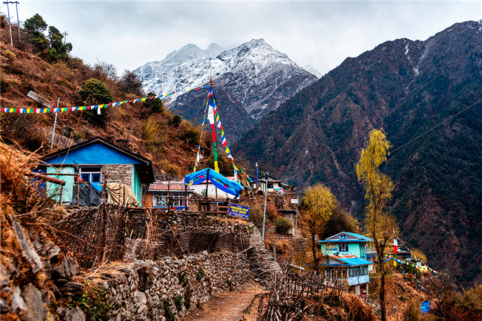 Sherpagaon - Vallée du Langtang - Népal