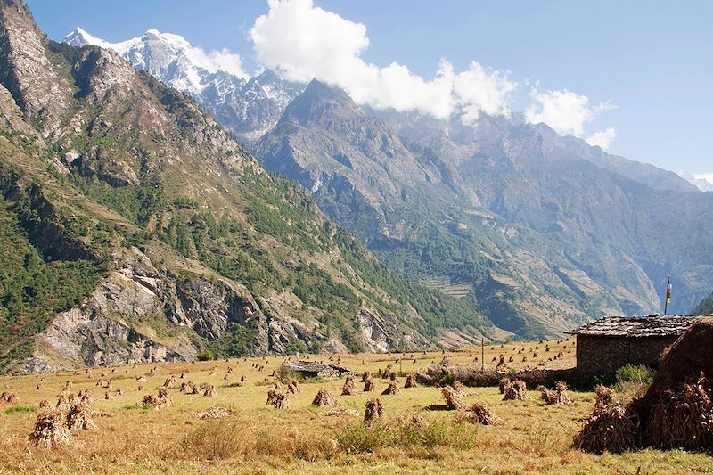 Village de Prok - Trek autour du Manaslu - Népal