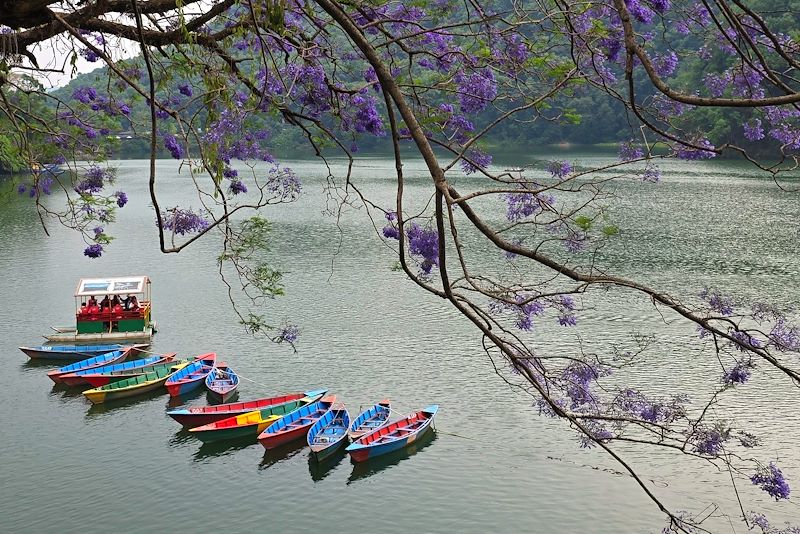 Lac Phewa - Pokhara - Népal