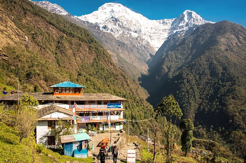 Village de Chomrong - District de Kaski - Népal
