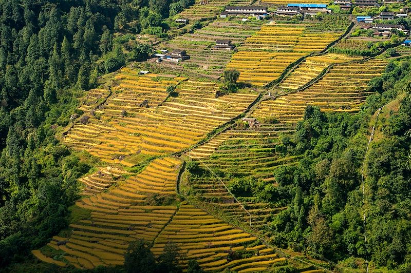 Village de Chomrong - District de Kaski - Népal