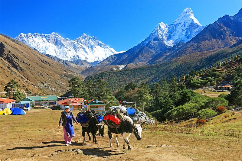 Sherpa - Himalaya - Népal