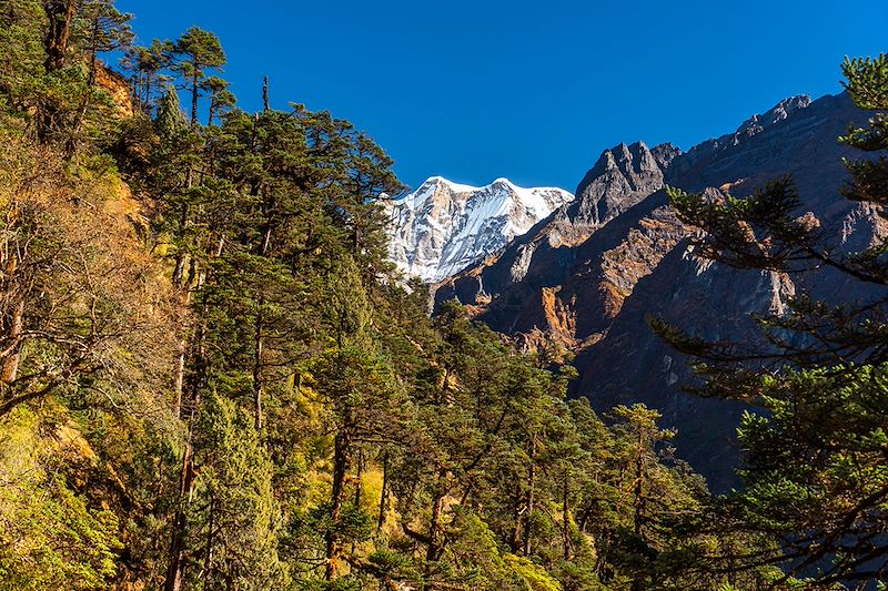 Paysage entre Chetra Khola et Khote - District de Solukhumbu - Népal