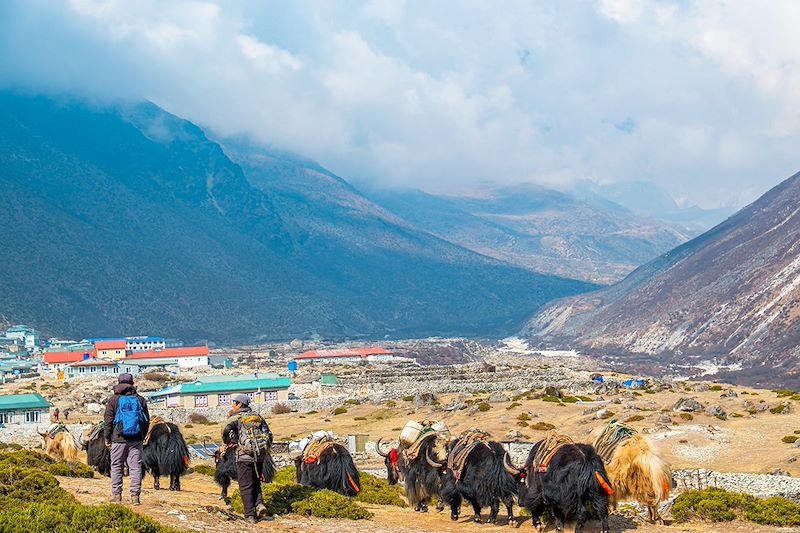 Randonnée en direction de Dingboche - Région de Khumbu - Népal