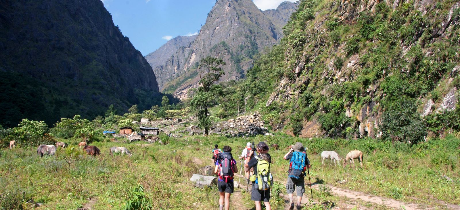 Image Trek autour du Manaslu
