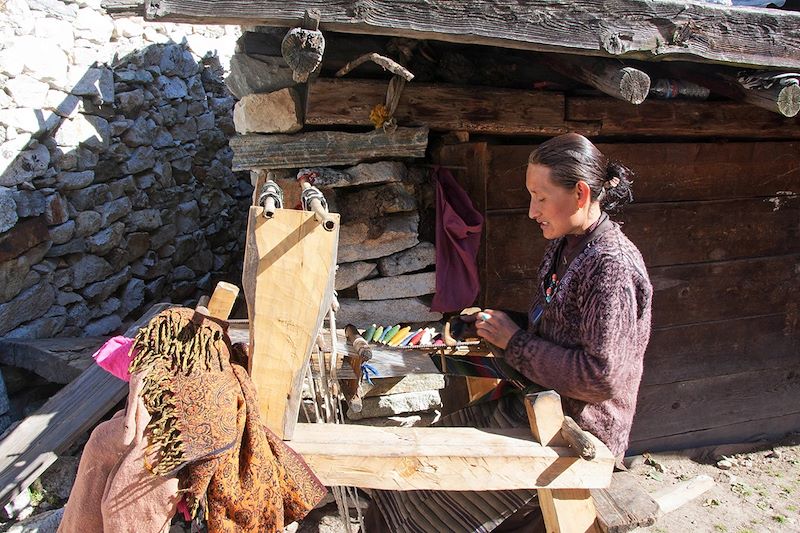 Trek de Lho au glacier Pungen-Samagau autour du Manaslu - Népal