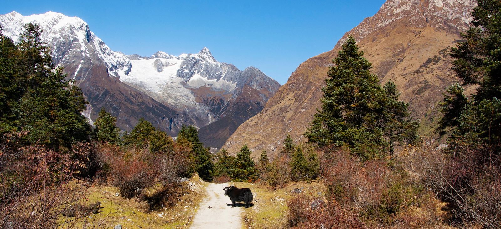 Image Trek autour du Manaslu