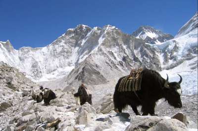 voyage Népal - 3