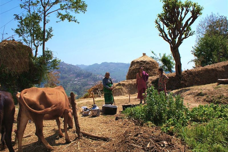 Randonnée entre Nagarkot et Nala - Népal