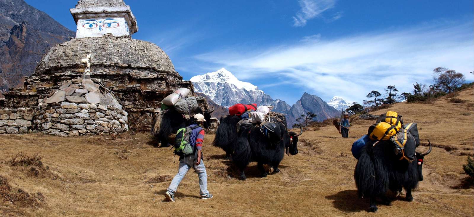 Image Sur les pas du Yeti autour de l'Everest