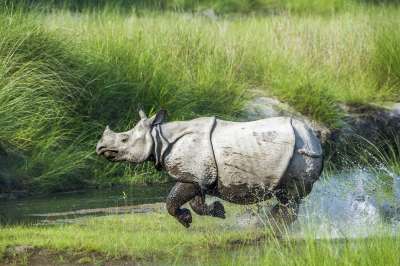 voyage Petite rando ethnique & safari à Chitwan 