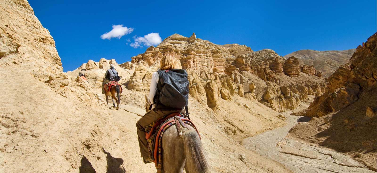 Image Sur les pistes du Mustang