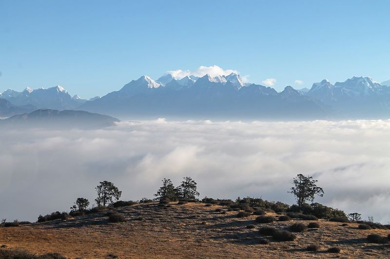 Vue depuis Phokte - Népal 