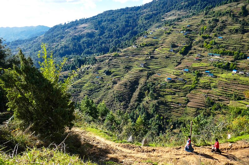 Paysage près de Dimil - Région du Solukhumbu - Népal