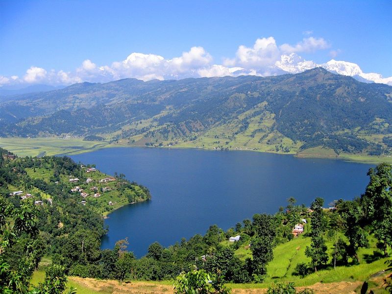 Lac Pokhara - Népal