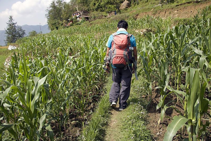 Randonnée de Gachok à Lwang - Ghachok - District de Kaski - Népal