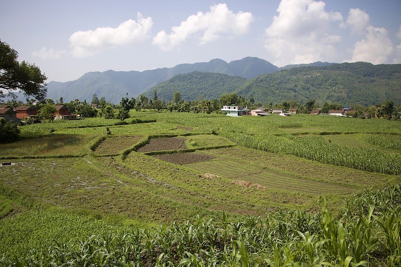 Randonnée de Gachok à Lwang - Ghachok - District de Kaski - Népal