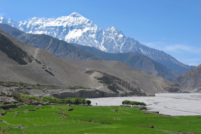 Grand tour des Annapurnas et du lac Tilicho