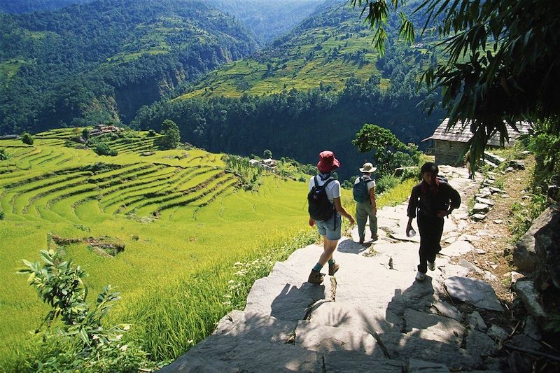 Randonnée dans la région de Pokhara - Népal