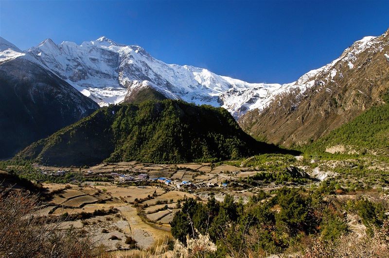 Massif de l'Annapurna - Himalaya - Népal