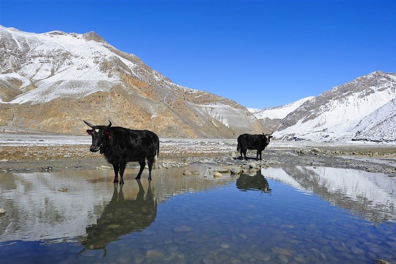 Mythique Annapurna et lac Tilicho