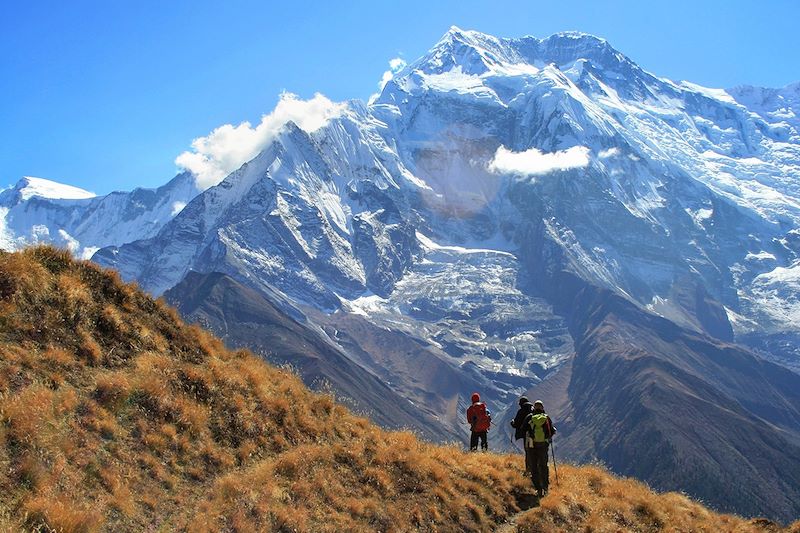 Camp de base du Pisang Peak - Annapurna - Népal