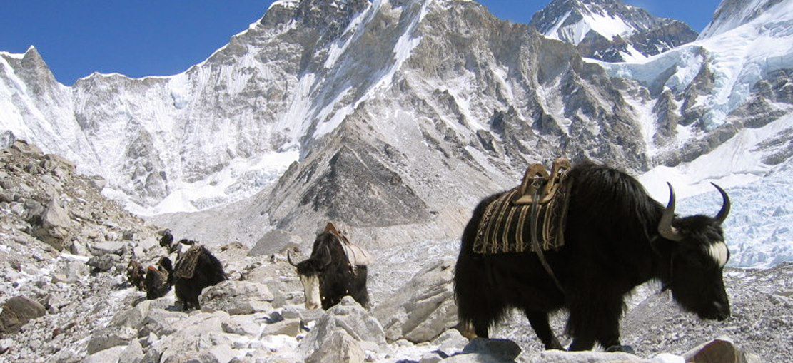 Image Grand tour de l'Everest via Gokyo
