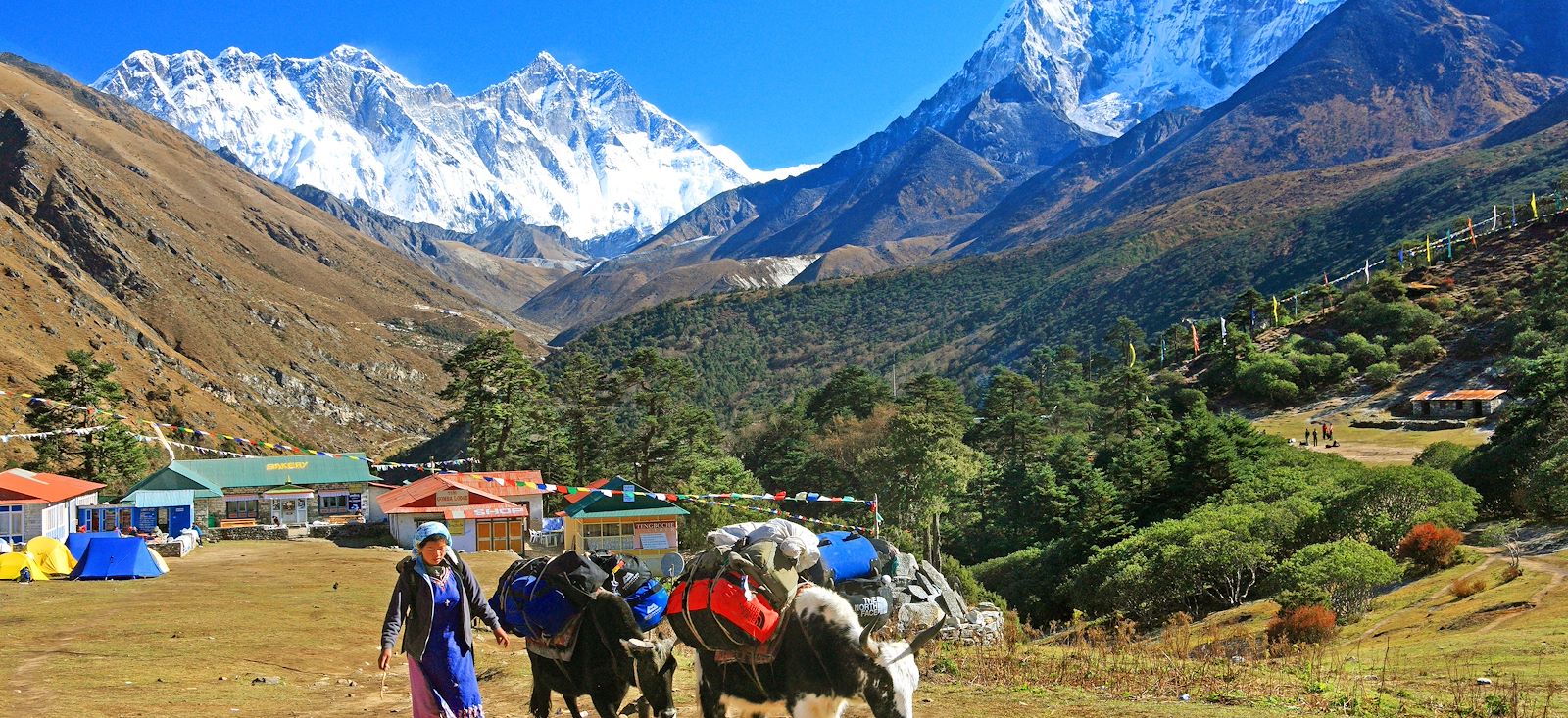 Image Grand tour de l'Everest via Gokyo