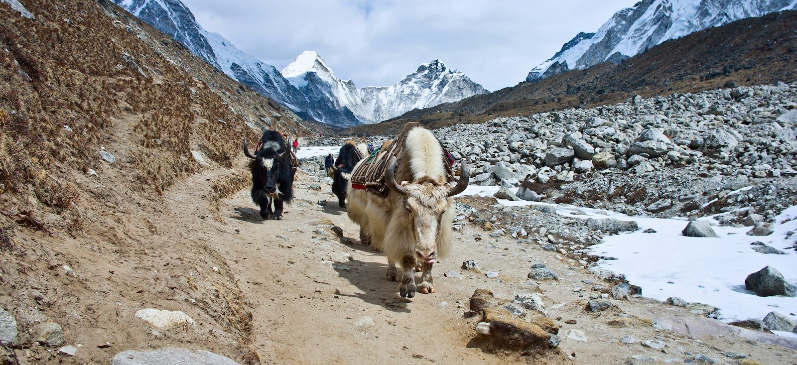 Image Grand tour de l'Everest via Gokyo
