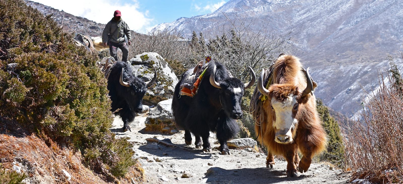 Image Grand tour de l'Everest via Gokyo