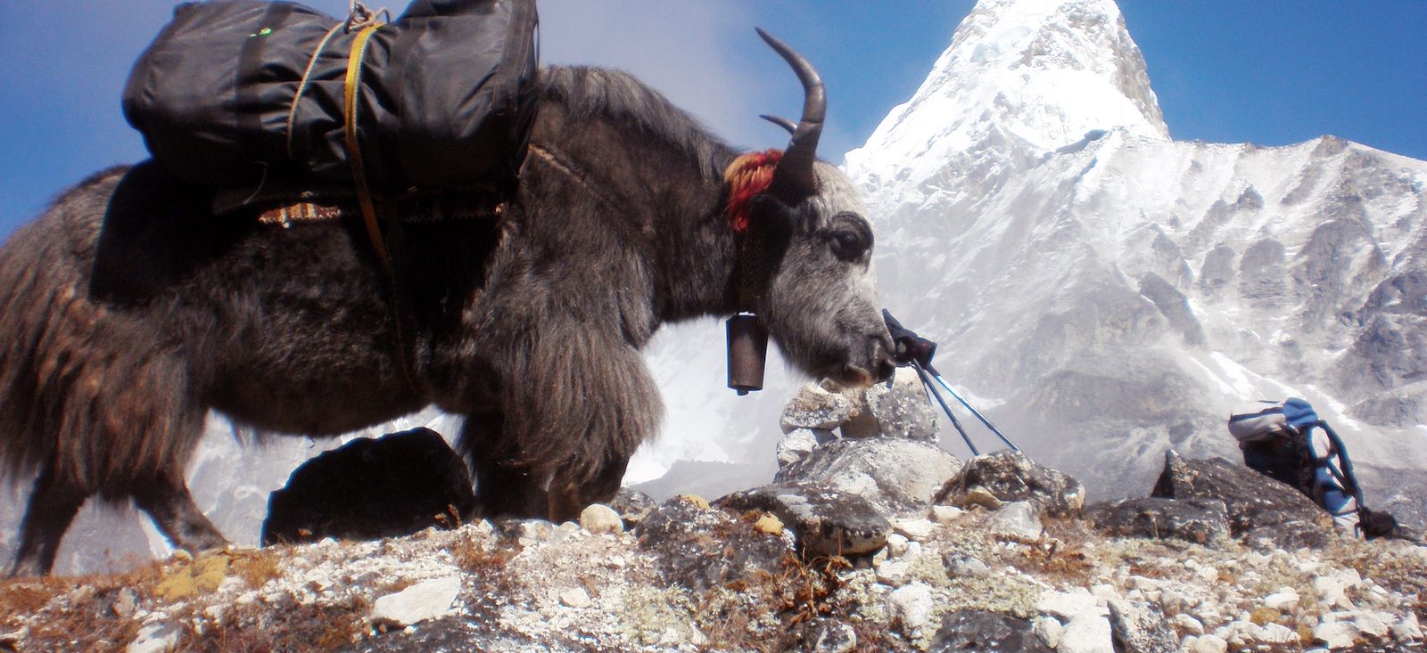 Image Grand tour de l'Everest via Gokyo