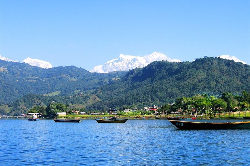 Lac Pokhara - Népal