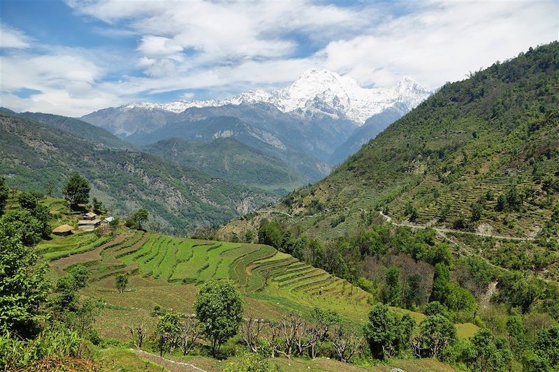 Le Mont Annapurna Sud et Hiunchuli depuis le village de Tolka - Himalaya - Népal