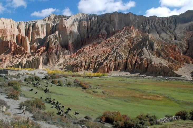 Le grand trek du Mustang