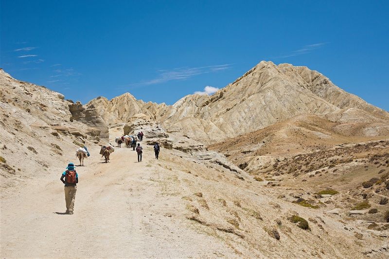 Le grand trek du Mustang