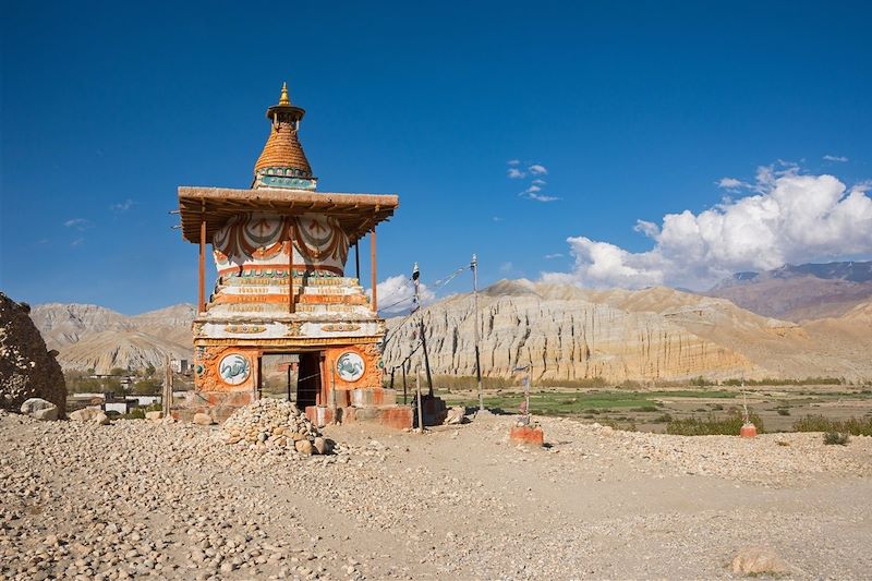 Le grand trek du Mustang